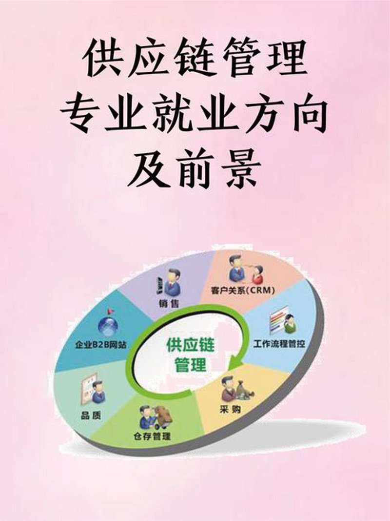 如何优化仓储配送流程：案例分析